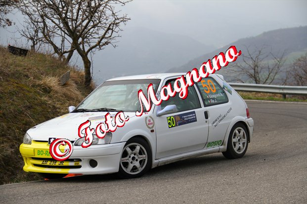 219.jpg